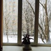 Фото ЮФУ