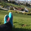 Dolores Park