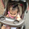 Bronx Zoo