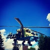 Фото Роствертол