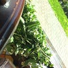 Фото Пить Кофе