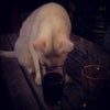Thee Parkside