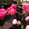 Bi-Rite Market