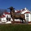 Фото Яр Отель