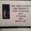 The Rowan Tree