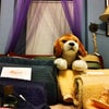 Belvedere House Bed & Breakfast