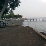 Liparis 5 sahili