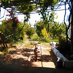 Küçük Yayla Kızların Yeri