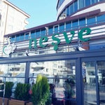 Neşve