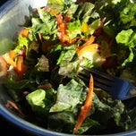 snappy salads dallas tx