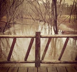 Cherokee Park - Louisville