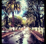 Alameda - Zacatecas