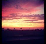 Playa Las Gramas - Chilca