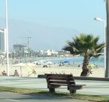Playa Cavancha - Iquique