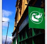 The Sparrow - Bradford