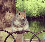St James's Park - London