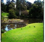Royal Botanic Gardens - Melbourne