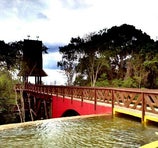 Bosque Alemão - Curitiba