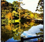 Bosque Maia - Guarulhos
