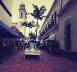 Andador Constitución - Colima