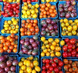 Portland Farmer's Market at PSU - Portland