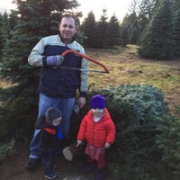 loch lolly christmas forest north plains or loch lolly christmas forest north plains or