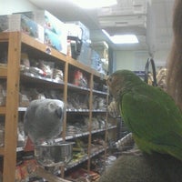bird supply of new hshire northwest nashua 2 tips bird supply of new hshire northwest nashua 2 tips