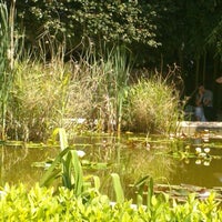 Nikita Botanical Garden
