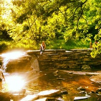 waterfall glen forest preserve il