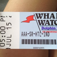 Alpha Whale Watch
