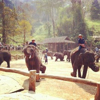 Mae Sa Elephant Camp