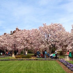 Photo taken at Arthur M. Sackler Gallery by Xuan V. on 4/7/2013