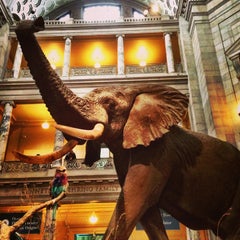 Photo taken at National Museum of Natural History by David on 3/16/2013