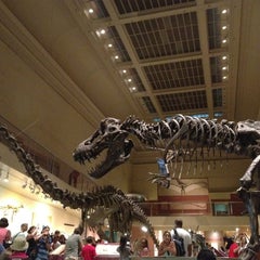 Photo taken at National Museum of Natural History by Olya on 7/8/2013