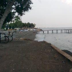 Liparis 5 sahili