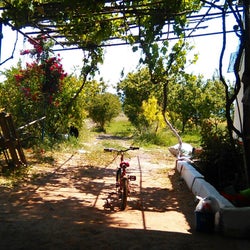 Küçük Yayla Kızların Yeri
