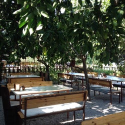 Toprak Ana