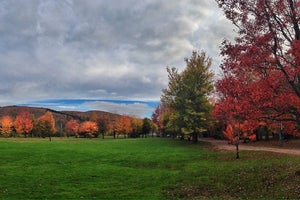 Wentworth Park - Wentworth