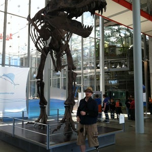 Photo of California Academy of Sciences