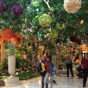 Photo of Wynn Resorts