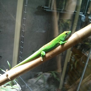 Photo of California Academy of Sciences