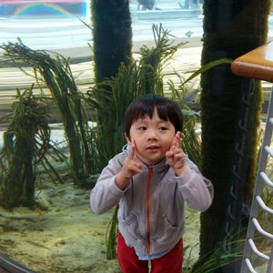 Photo of California Academy of Sciences