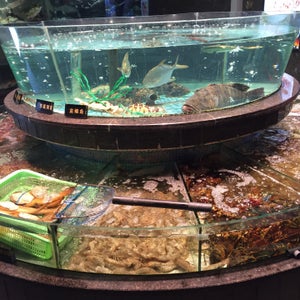 Xihu Spring 西�?�?�天