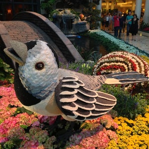Photo of Bellagio