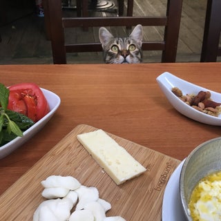 kahvaltı fotoğrafı