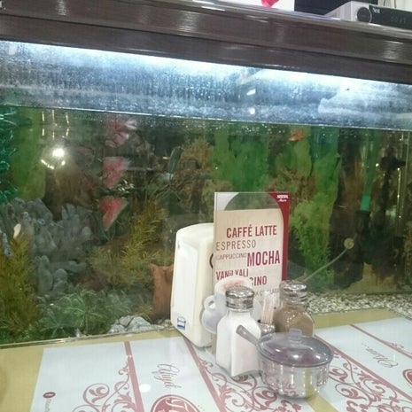 Titizce Türk Mutfağı