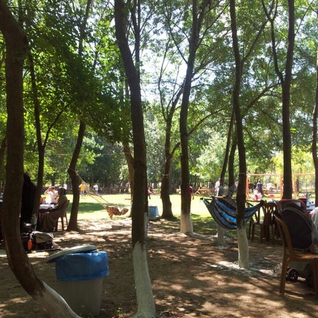 Çınar Piknik Alanı