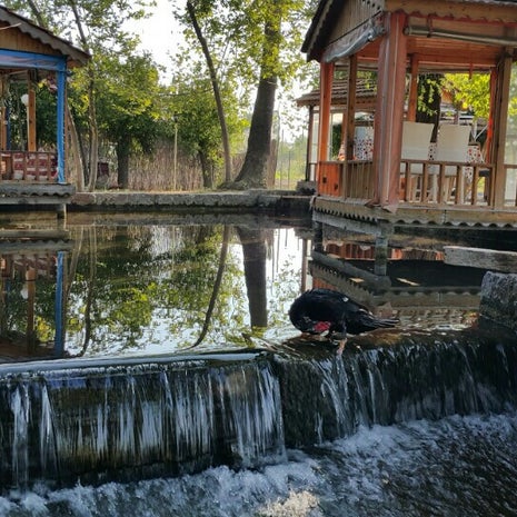 Ada Restaurant Elvanli