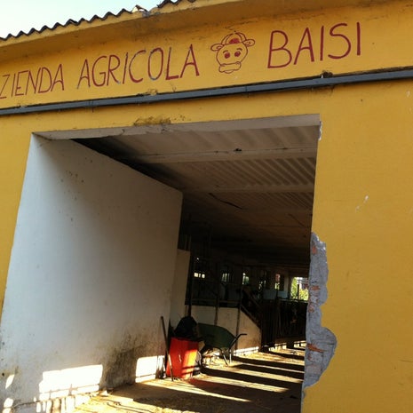 Azienda Agricola Baisi
