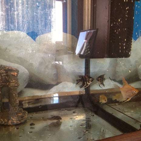 Recep's Kahvaltı Evi